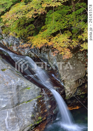 御手洗渓谷の滝と紅葉 26165578
