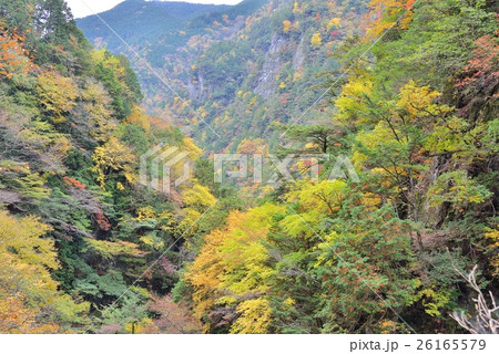 御手洗渓谷の美しい紅葉 26165579