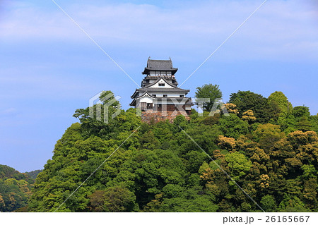 新緑の犬山城天守閣 26165667