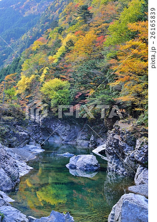 水面に映り込む紅葉と岩場の紅葉 26165839
