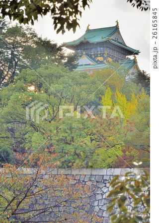西の丸庭園の紅葉と天守閣 26165845