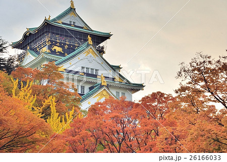 西の丸庭園の紅葉と大阪城天守の写真素材