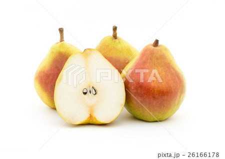 洋梨（品種：コミス）: Pear (cv. Comice) 26166178