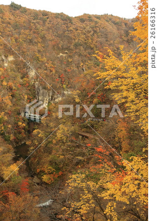陸羽東線の鳴子峡を走るキハ110型気動車 26166316