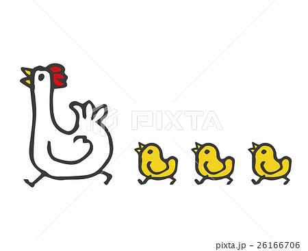 鶏の親子、親鳥とひよこ 26166706