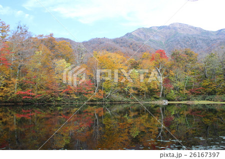 紅葉の刈込池トレッキング（福井県 大野市 ハイキング） 26167397