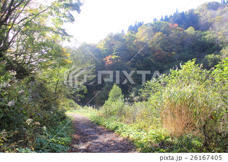 紅葉の刈込池トレッキング（福井県 大野市 ハイキング） 26167405