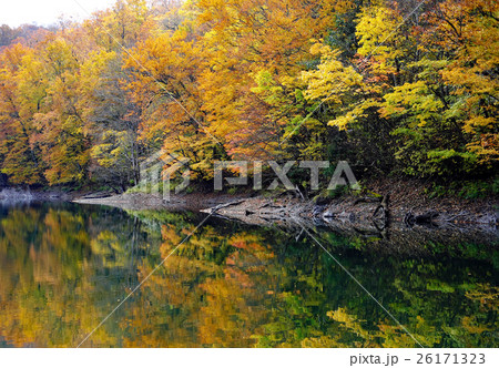 紅葉過ぎ行く白神の鶏頭場の池 紅葉過ぎ行く白神の鶏頭場の池 26171323