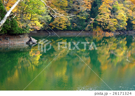 紅葉過ぎ行く白神の鶏頭場の池 紅葉過ぎ行く白神の鶏頭場の池 26171324