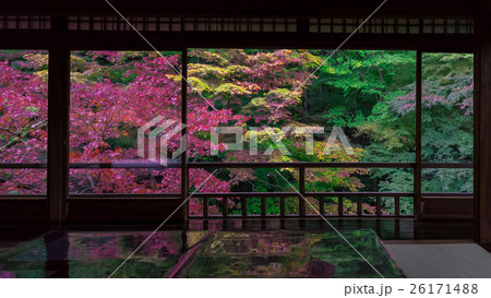 秋の瑠璃光院 26171488