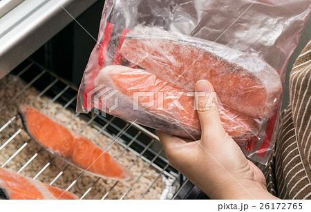鮭 鮭 26172765