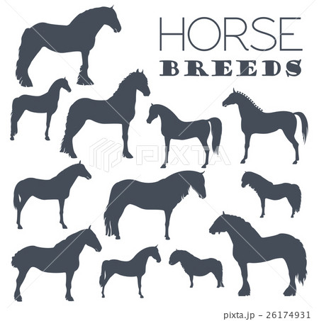 Horse breeding icon set. Farm animal. Flat design 26174931