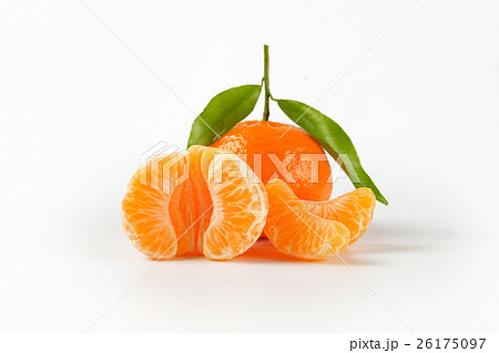 tangerine with separated segments 26175097