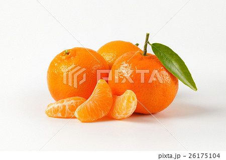 tangerines with separated segments tangerines with separated segments 26175104