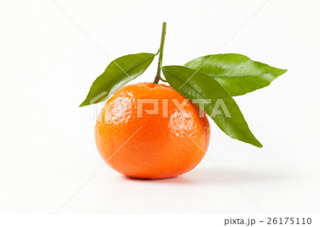 whole mandarin orange 26175110