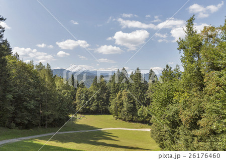 Green meadow in Slovenian mountains Green meadow in Slovenian mountains 26176460