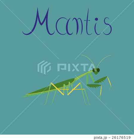 flat illustration on background Mantis 26176519