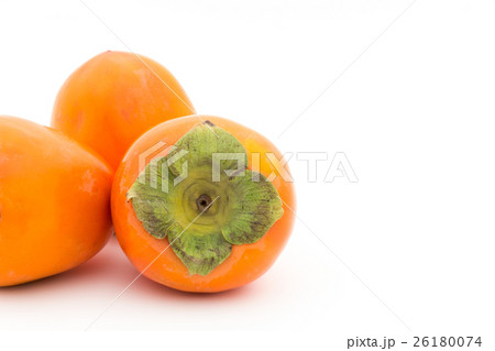 蜂屋柿：Persimmon (cv. Hachiya) 26180074