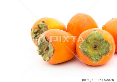 柿(品種:蜂屋):Persimmon (cv. Hachiya) 柿(品種:蜂屋):Persimmon (cv. Hachiya) 26180076