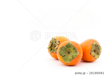 柿(品種:蜂屋):Persimmon (cv. Hachiya) 柿(品種:蜂屋):Persimmon (cv. Hachiya) 26180081