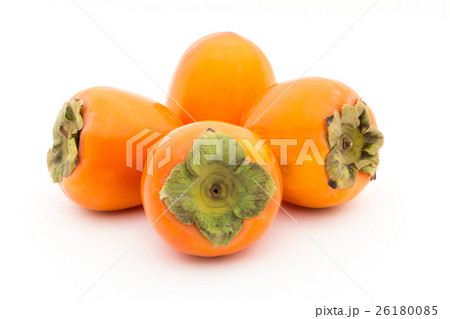 柿(品種:蜂屋):Persimmon (cv. Hachiya) 柿(品種:蜂屋):Persimmon (cv. Hachiya) 26180085