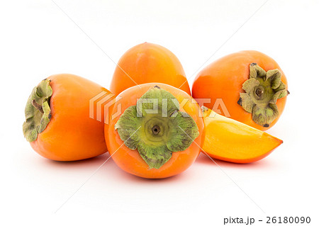 柿(品種:蜂屋):Persimmon (cv. Hachiya) 柿(品種:蜂屋):Persimmon (cv. Hachiya) 26180090