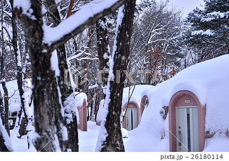 雪のコテージ 雪のコテージ 26180114