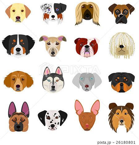 Dog's face set White Background - Stock Illustration [26180801