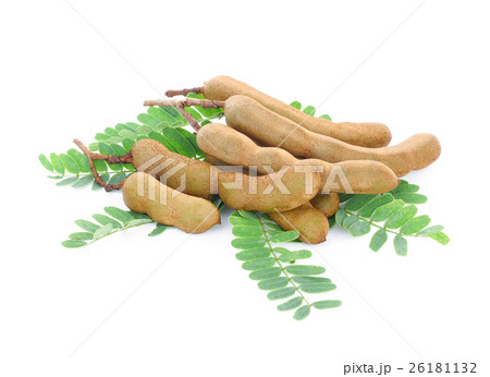 fresh tamarind with leaves isolated on white fresh tamarind with leaves isolated on white 26181132