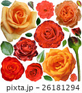 Big collection of roses and leaves  isolated  26181294