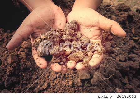 Pool soil very hard in the human hand holding. Pool soil very hard in the human hand holding. 26182053