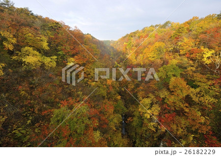 鳴子峡の紅葉・大深沢橋からの景色（宮城県） 26182229