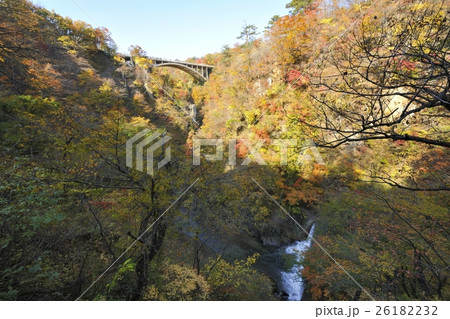 鳴子峡の紅葉・遊歩道から大深沢橋（宮城県） 26182232