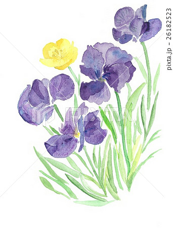 アルプスの紫の花のイラスト素材
