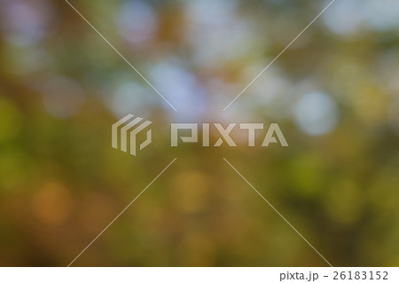秋の森の中のボケ素材 秋の森の中のボケ素材 26183152