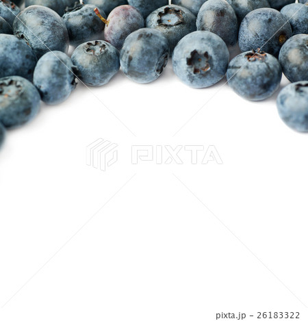 Bilberry or blueberry over isolated white Bilberry or blueberry over isolated white 26183322