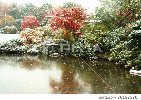晩秋の平岡樹芸センター 26183530
