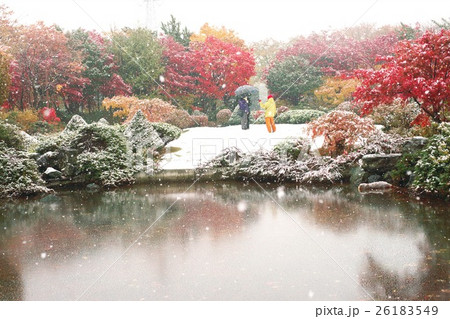 晩秋の平岡樹芸センター 晩秋の平岡樹芸センター 26183549