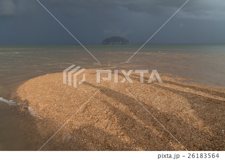 Golden Scale Dragon Spine Beach in Trang  26183564
