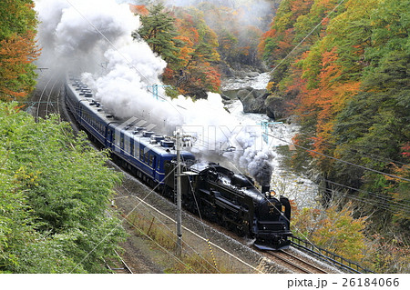 紅葉の上越線SL 紅葉の上越線SL 26184066