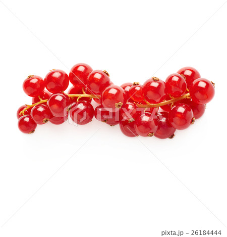 Red Currant isolated over white background 26184444