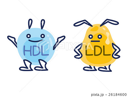 しらすのカロリーをチェック タンパク質やミネラルたっぷりで身体をつくる Healmethy Press ヘルメシプレス