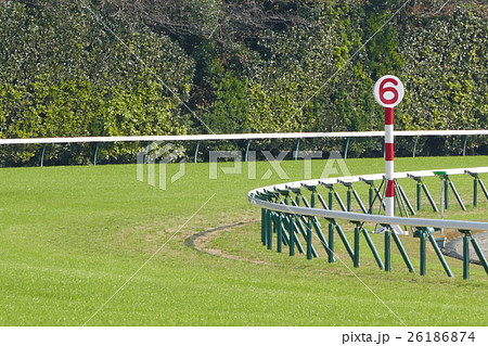 東京競馬場の最終コーナー 東京競馬場の最終コーナー 26186874