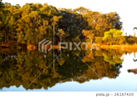 the pound lake and   tree reflection in water 26187420