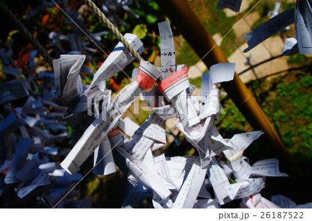 オミクジ おみくじ 抽選 26187522