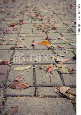 Fallen leaves on brick ground. Fallen leaves on brick ground. 26187785