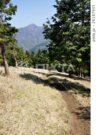 大室山の植林帯より望む丹沢主稜 大室山の植林帯より望む丹沢主稜 26187935