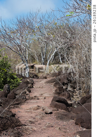 セロ・ティヘレタス 26189238