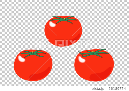 完熟トマト 26189754