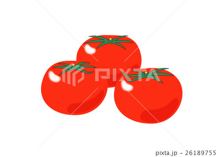 完熟トマト 完熟トマト 26189755